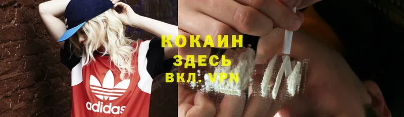 COCAIN Fish Scale  купить наркотик  Армянск 