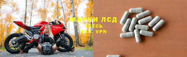 ПСИЛОЦИБИНОВЫЕ ГРИБЫ Осинники