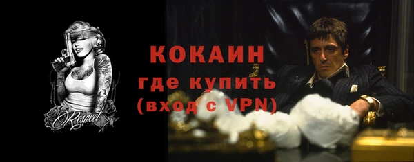 ПСИЛОЦИБИНОВЫЕ ГРИБЫ Осинники