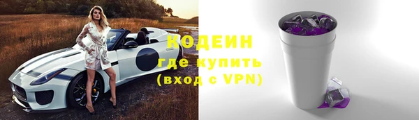 ПСИЛОЦИБИНОВЫЕ ГРИБЫ Осинники