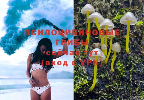 таблы Калининец