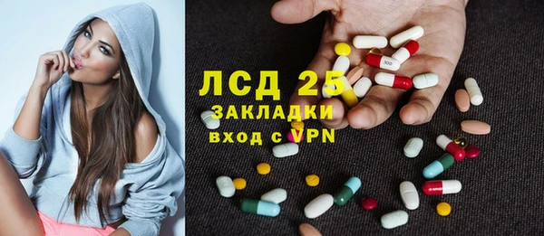 ПСИЛОЦИБИНОВЫЕ ГРИБЫ Осинники