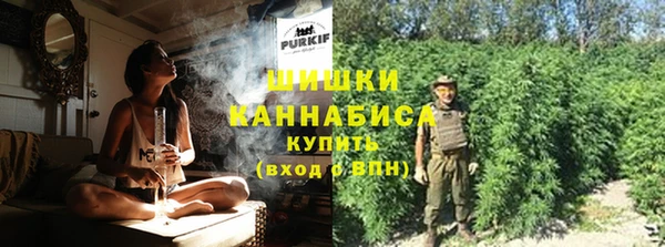 ПСИЛОЦИБИНОВЫЕ ГРИБЫ Осинники