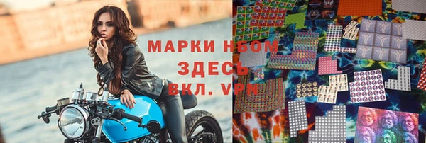 ПСИЛОЦИБИНОВЫЕ ГРИБЫ Осинники