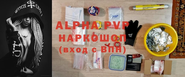 ПСИЛОЦИБИНОВЫЕ ГРИБЫ Осинники