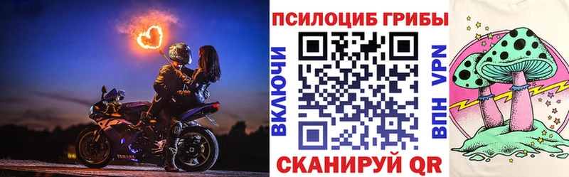 Галлюциногенные грибы Psilocybine cubensis  где можно купить наркотик  Армянск 