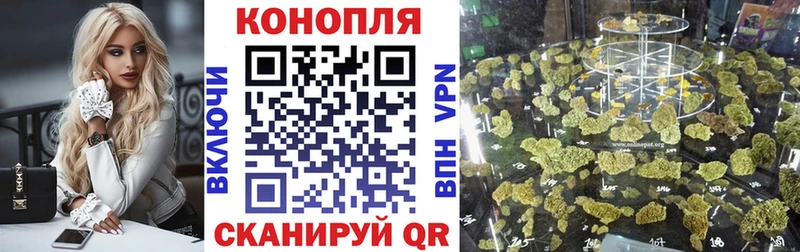 Бошки Шишки планчик Армянск